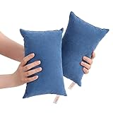 BEDSUM 2 Pack Tiny Pillows, 11'x7' Microfiber Mini Pillows for Toddler, Travel, Pets, Soft and Machine Washable Small Pillows with Excellent Resilience for Neck, Wrist, and Knee Support, Denim Blue