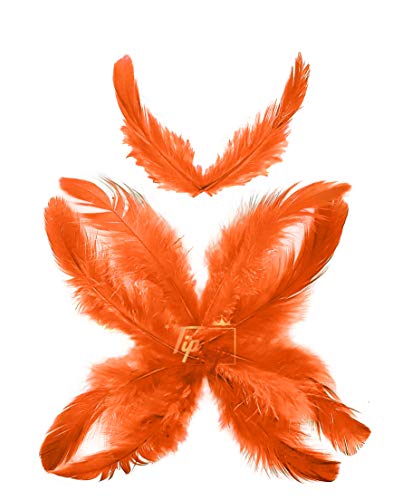 Image of Natural Dyed Feathers 10 cm (80 pieces) (Orange)