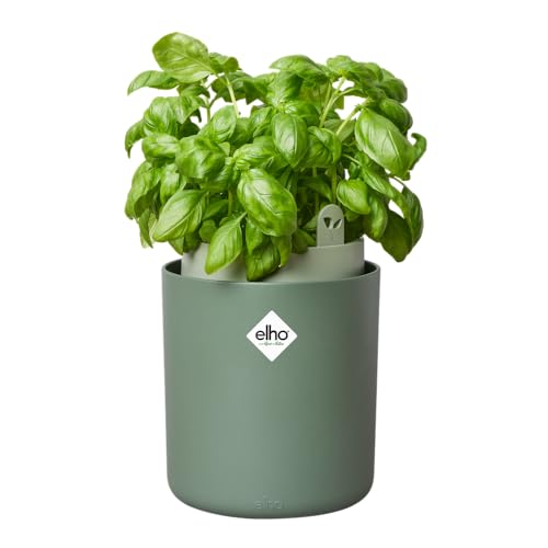 Elho Bouncy Basil 16 - Vaso Da Fiori Per Allevamento E Raccolta, Diametro 16,5 X Altezza 21,0 Cm, Colore: Verde/Verde Fogliame