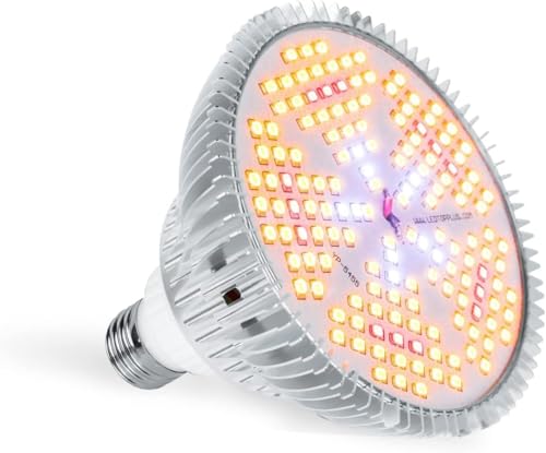 yh^zA琬Cg led 2 SXyNg z e26 150LED`bv 100W ϗtA Cg A琬 Cg tXyNg ͔|v ȃGl  A led ƒ؉ k͔| led ؈琬 A 