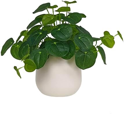 365 Blooming Decor Artificial Pilea Plant – Luxury Potted Money P...