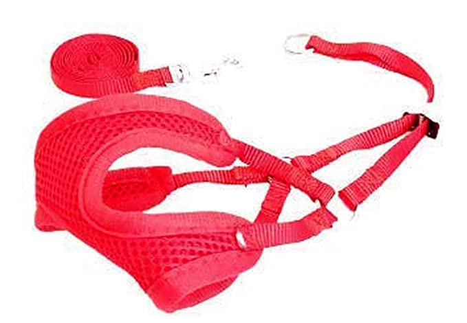 RvPaws Puppy Harness and Leash Set - Adjustable Soft Mesh Comfort Fit Harness No Pull No Choke - Red (B0BM7RZ33V) Amazon Price History, Amazon Price Tracker