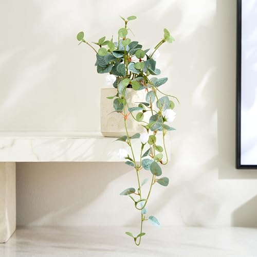 Image of Home Centre Gloria Drape Artificial Rose Bud Hanging Creeper in Ceramic Pot
