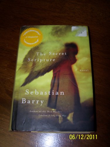 The Secret Scripture view 2