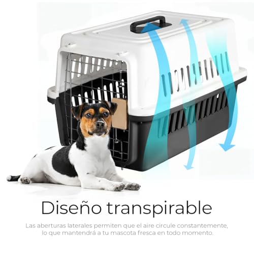 Reviews de Transportadora . 12 Reviews de Transportadora . 10