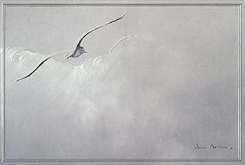 Pictura Seagull with Silver Foil Signature Gallery Sympathy Card