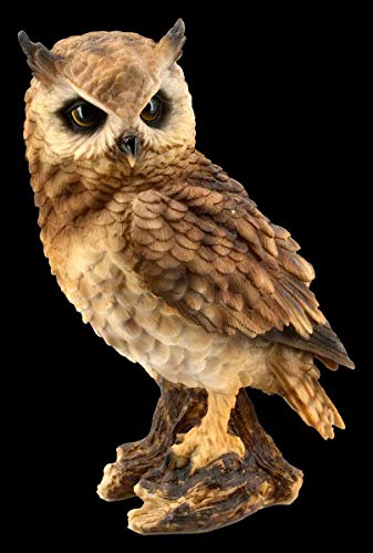 Figuren Shop GmbH Eulen Tier-Figur - Waldohreule groß | Vogel-Figur, Deko-Figur, Deko-Artikel, Statue, Skulptur, H 26 cm