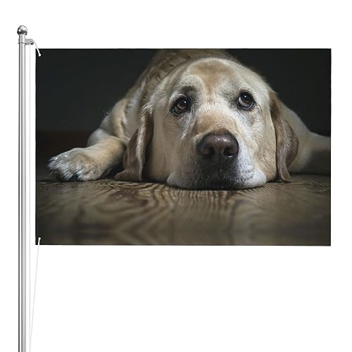 Drapeau labrador extérieur anti-décoloration pour résoudre la monotonie du jardin