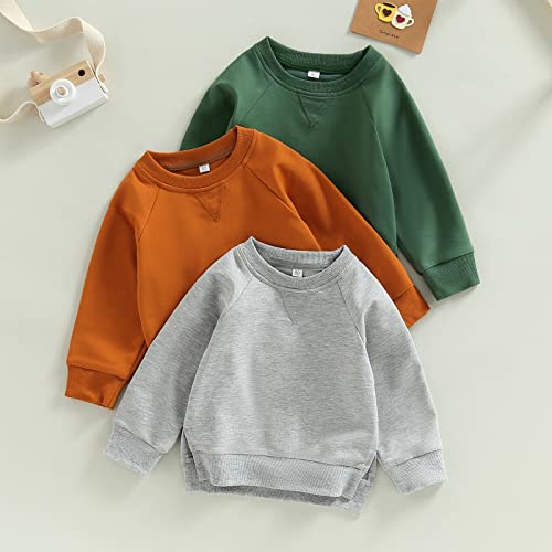 Toddler Kids Baby Boy Girl Crewneck Sweatshirt Cotton Long Sleeve Solid Color Pullover Top Casual Spring Fall Clothes (Green, 6-12 Months) #TOP1