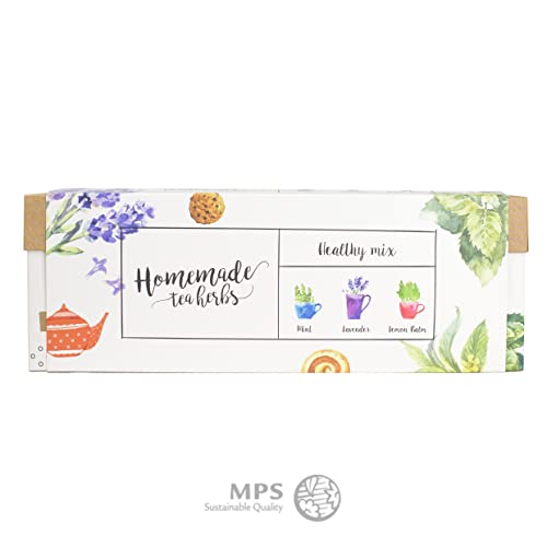 Interflowers Küchenkräuter set - Bio Kräuter Samen & Tee Samen in Geschenkverpackung Anzuchtset Mini Blumenkasten Anzuchtkasten Bio gemüse samen Saatgut für Hochbeet DIY (Tee Healthy Mix) - Image 3