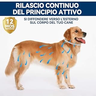 Collare Antiparassitario Regolabile Per Cani, Impermeabile, Con Oli Essenziali Naturali. Aiuta Contro Pulci E Zecche, Adatto A Cani Di Tutte Le Taglie, Protezione Fino A 12 Mesi