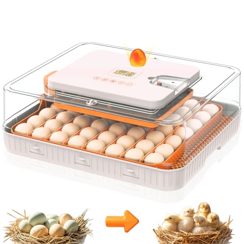 Incubateur d'œufs pour couver des œufs 56 œufs de poule avec rotation automatique des œufs à 360° pour poulet, canards, oies