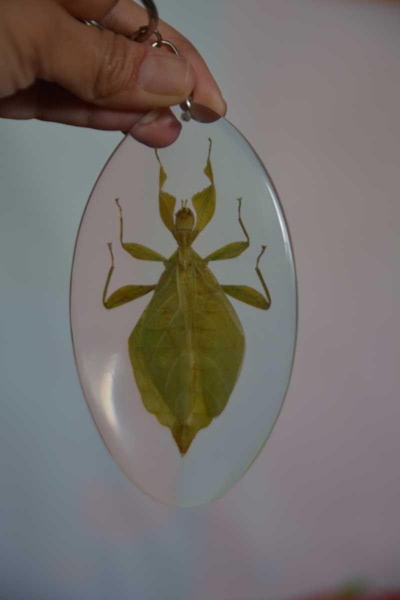 超レア‼️／マリー／ゼンマイ仕掛けキーホルダー／ディズニーストア／レトロ／未開封 超レア‼️／マリー／ゼンマイ仕掛けキーホルダー／ディズニーストア