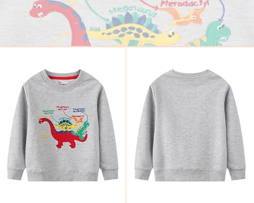 Boys Sweatshirts Casual Sweatshirts Cotton Sweatshirts Long Sleeve T-shirts Crew Neck Cartoon Tops for Boys-782