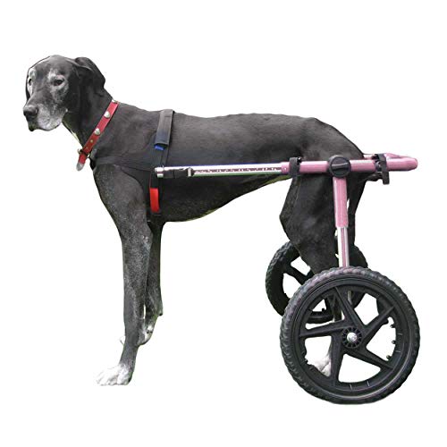 Walkin' Wheels Large Dog Wheelchair