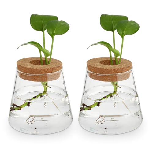 Kichvoe k͔| KXԕr 2Zbg  ԕr 㑕 ؐWt t[x[X  KXe ƒ ItBXp