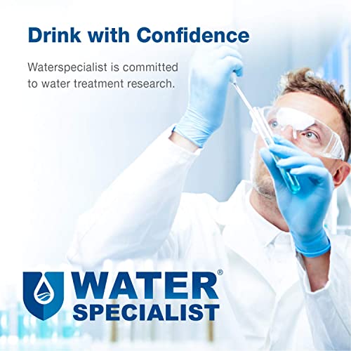 Waterspecialist 3Us-Pf01 Undersink Water Filter, Nsf/Ansi 42 Certified Replacement For Advanced 3Us-Pf01, 3Us-Max-F01H, 3Us-Pf01H, Delta Rp78702, Manitowoc K-00337, K-00338 Water Filter, Pack Of 2 #TOP4