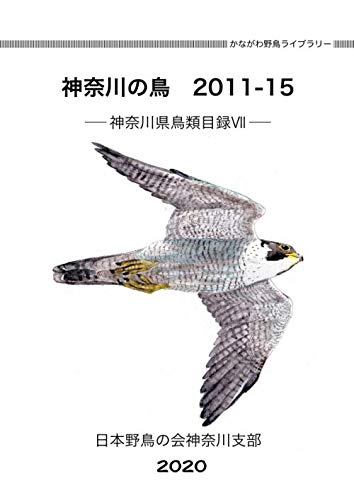 神奈川の鳥 2011-2015