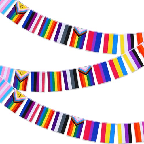 10m Pride Flags Bunting Banner 30Pcs Different LGBTQ+ Rainbow Bunting Rectangle Inclusive Gay Pride Decorations Vivid Color Stripes Banner Accessories for Pride Month Outdoor Home Garden Party