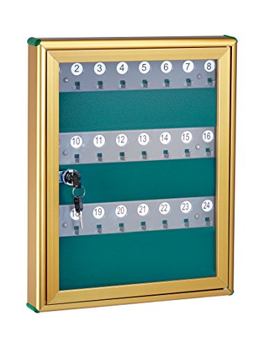 Adiroffice Glass Key Cabinet Security Box - Wall Mount Valet Lock Box - Adjustable Key Cabinet - Holds 24 Keys (Gold) #TOP1
