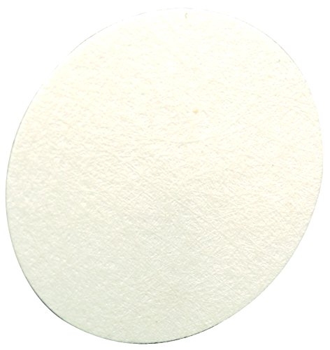 MSA 710917 Inlet Water Filter for FiveStar Alarm and Passport Personal Alarm Gas Monitor