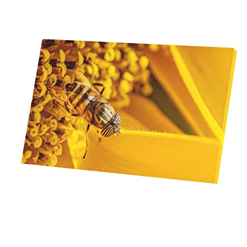 Photo macro fleur tableau insecte volant salon nature moderne 96x60