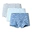 Blue Stripe
