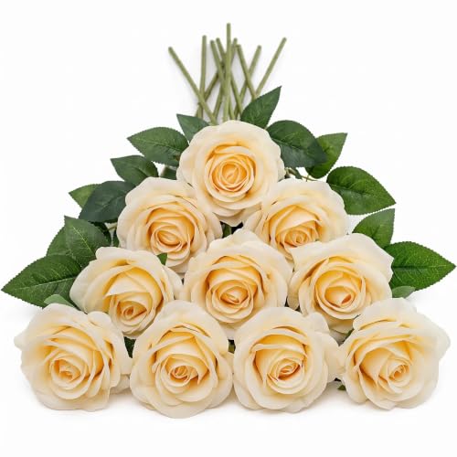 Blosmia'home 10Pcs 21.2” Artificial Roses with Long Stems (Champagne)