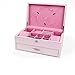 Produktbild EIU Schmuckschatulle Rosa Emaille Hohl Schmuckschatulle Prinzessin Europäischen Stil Sperre Bilderrahmen Design Schmuck Schmuckschatulle W12/17 (Color : Pink, Size : 29 * 19 * 13cm)