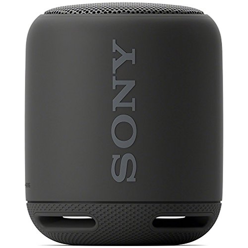 Sony XB10 Portable Wireless Speaker with Bluetooth, Black (2017 model)