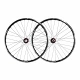 Roues de VTT 26 pouces. Roue avant/arrière avec frein à disque 6 trous et frein V-brake. Débattement latéral/radial de ± 0,3 mm. Poids : roue avant 1022,5 g, roue arrière 1226,5 g.
