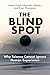 The Blind Spot: Why Science Cannot Ignore Human Experience