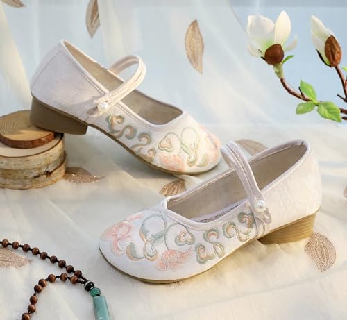 Chaussures de danse Cheongsam : l'art de la broderie classique