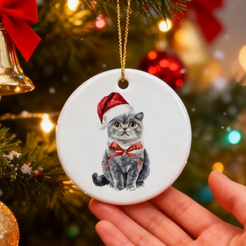 JINYO British Shorthair Cat Christmas Ornament, Cat Mom Lady Lovers Ornaments for Christmas Tree, Funny Santa Kitten Xmas Decorative Hanging Ceramic Ornaments