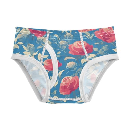 KLL Red Rosoddler Boys Soft Athletic Underwear Breathable Children Panties