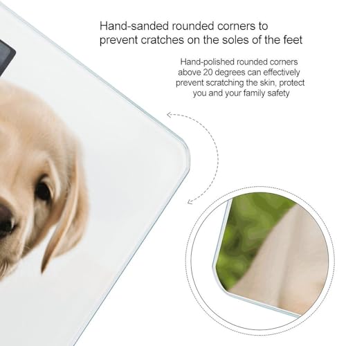 Báscula digital para baño con diseño de cachorro labrador miniatura 4