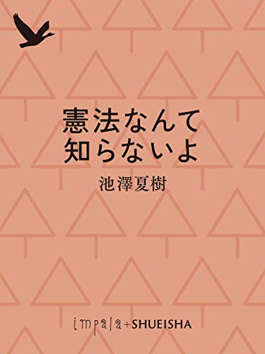 憲法なんて知らないよ 集英社文庫 池澤夏樹 Kindle本 Kindleストア Amazon