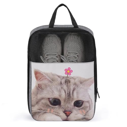 V[YP[X  L lR Lbg ԕ V[Y В ߗޓ  [P[X ւ C AWP[X V[YobO e  hhL hho ^ѕ֗ jp s o X|[c