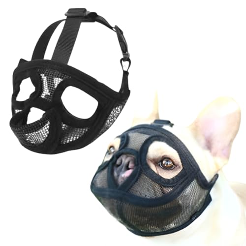 GIVETOP Z팢p   g[jO bV ݂h~ ʖih~ ߂ ݂ h~ ^ ^ ^ }Y p rߖh~ U P  Ck p tu uhbO V[Y[ {XgeA (