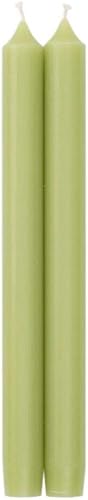 Caspari Velas cónicas rectas en verde musgo - 2 paquetes de 2