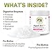 Wholistic Pet Organics Probiotics for Dogs with Digestive Enzymes & Prebiotic Fiber - 4 Oz - Daily Cat & Dog Probiotics for Digestive Health, Anti Diarrhea & Gut Support - Natural Powder Supplement