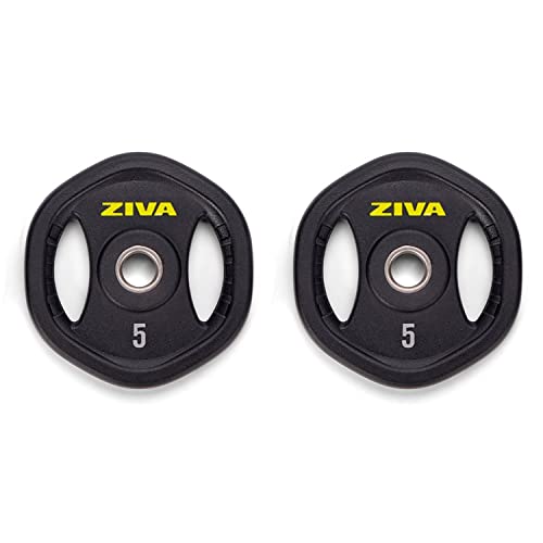 ZIVA 5 lb Studio Plates