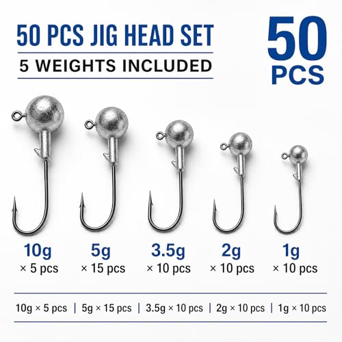 50 Pièces Têtes Plombées Jig pour Leurres Souples, Hameçons Métal 1g 2g 3,5g 5g 10g, Accessoires Pêche Carnassier Perche Sandre Brochet Truite, Kit Organisé avec Emballage Individuel – vue 2