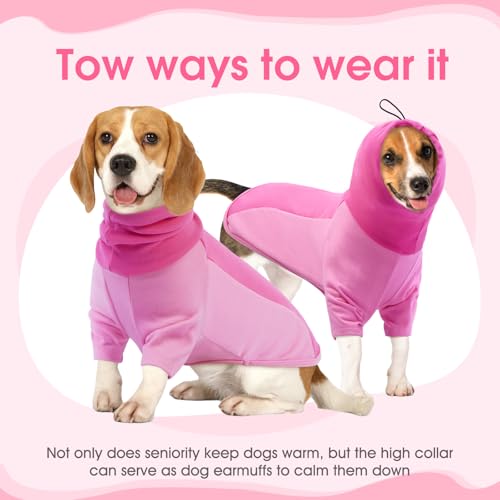 Sweat à capuche pour chien pull doux élastique antibruit hiver