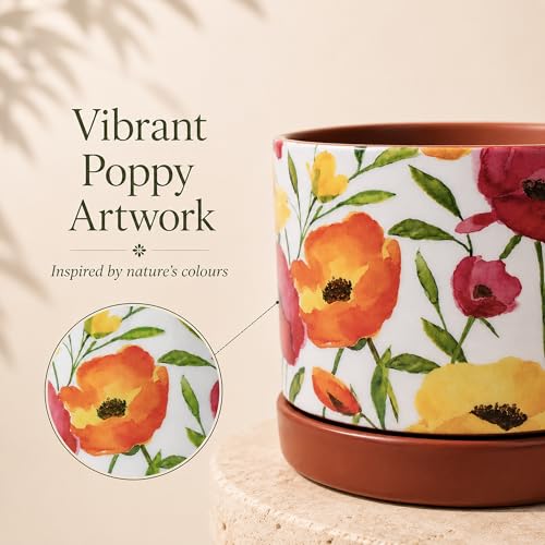 Image of Habere India-All the Cultures Fabricating India Floral Poppy Print Terracotta Planter with Saucer | Hand Painted Indoor Plant Pot | Breathable Clay Pot with Drainage Hole (Multi: L11 x W11 x H10 cm)