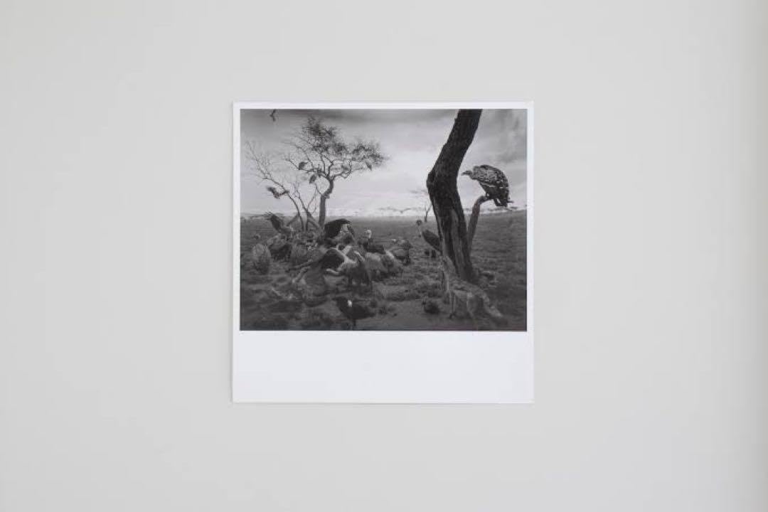 洋書 ベルナール・ビュッフェ(ビュフェ)・リトグラフ 画集 作品集