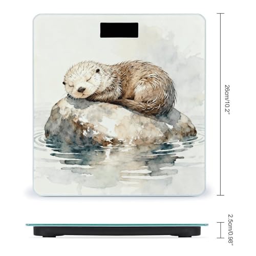 Báscula digital de baño precisa y estable con pantalla LCD miniatura 2