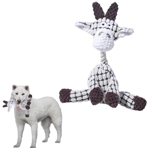 Lifetips IBiKishu Kenj pʂ  XNC[J[ JVJV {AR[fC y v @OK ^ q VjA XgX p pʂ  XNC[J[ @Ő􂦂 