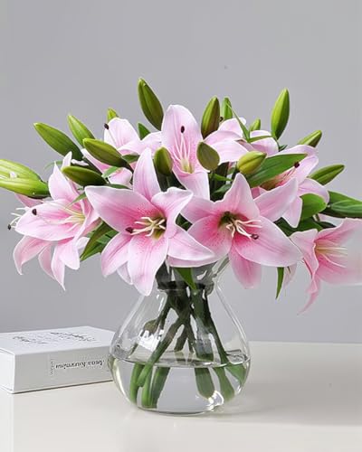 SEEK RARE Lily Flowers