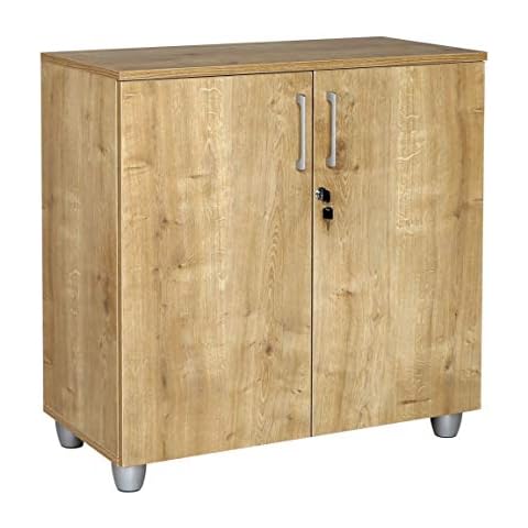 furni24 Aktenschrank mit Schloss und Fächern - Abschließbarer Holzschrank Cover